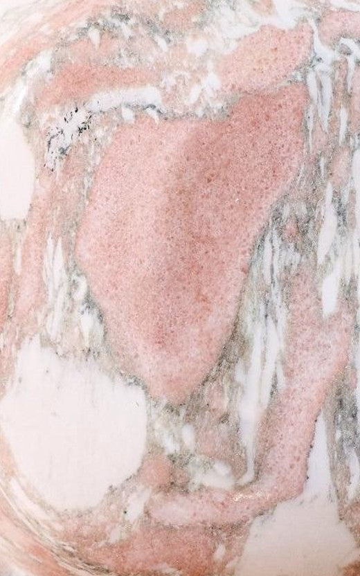 Norwegian Rose