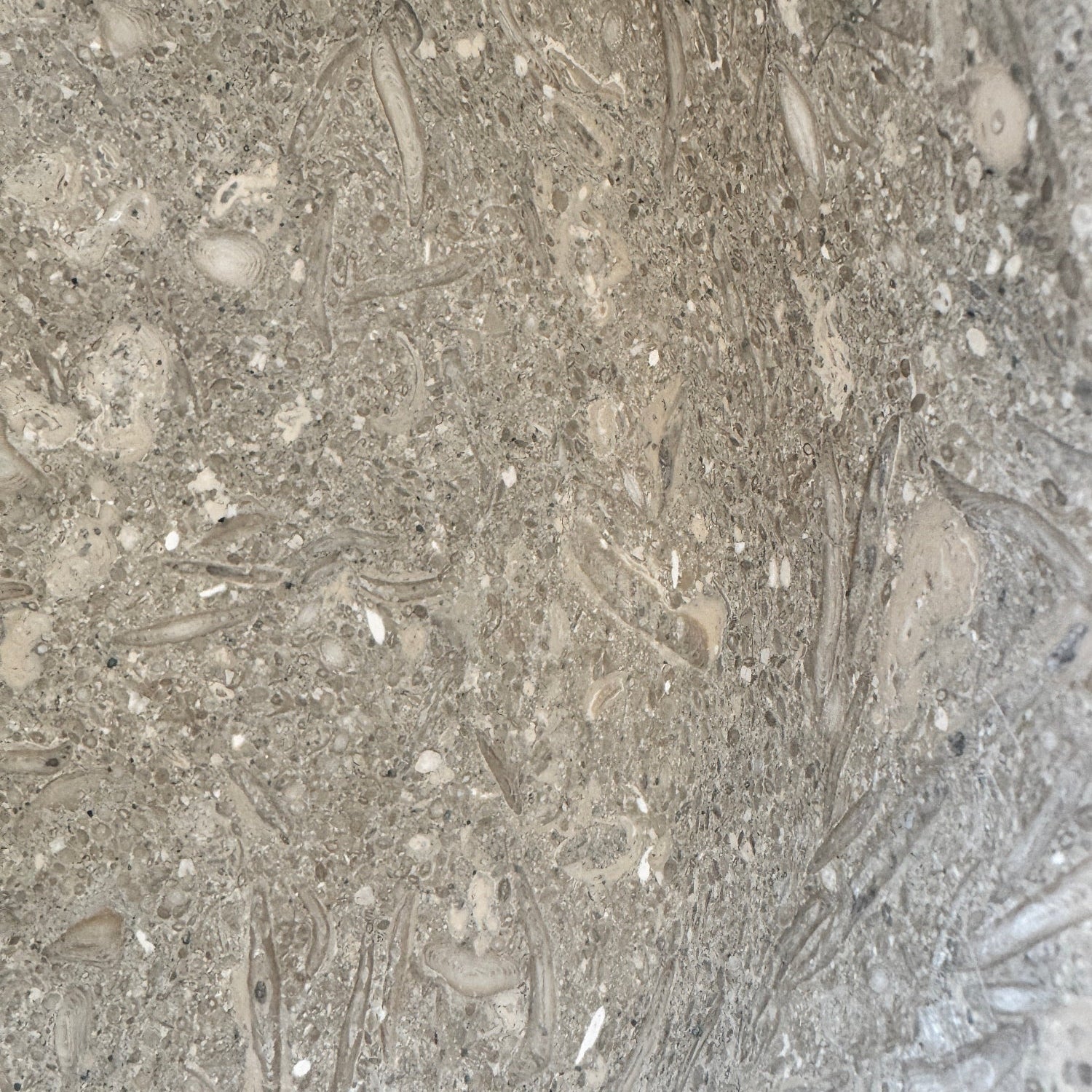 Kalksteinservant SERA L – grønn-beige Marine Green med naturlige fossile detaljer